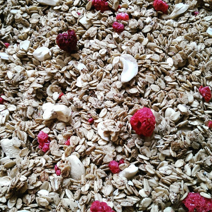Domača granola z malinami 350g