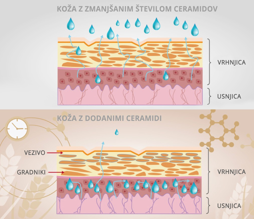 Kolagena UP