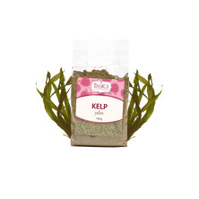 Kelp – braune Meeresalge Pulver 100 g