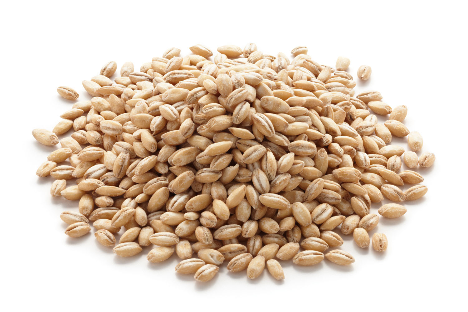 Gerstenbrei/Graupen aus ökologischem Landbau 500g