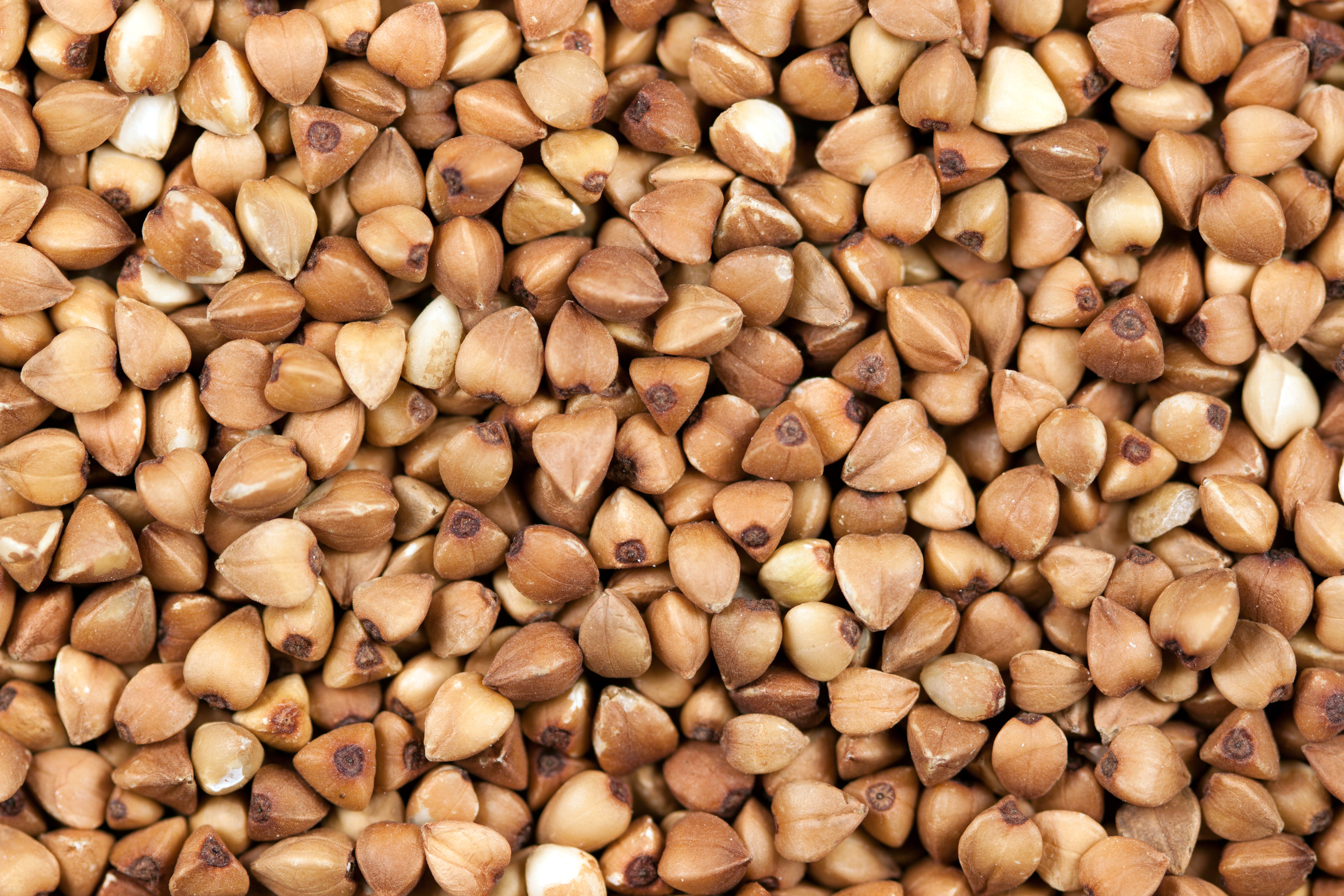 Buckwheat 