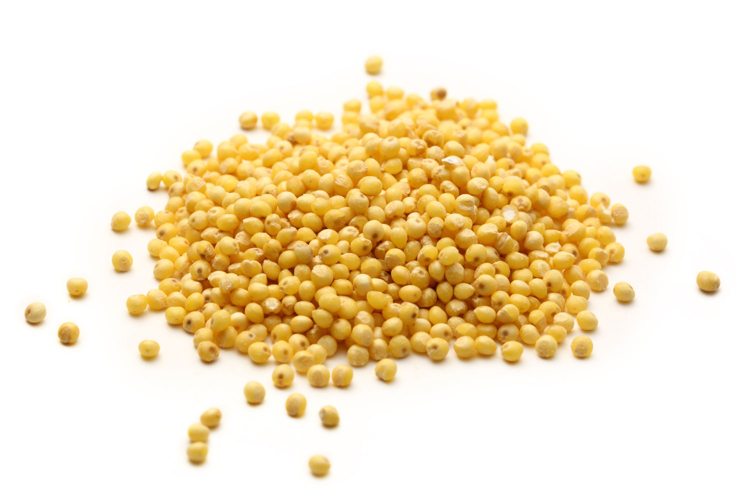Millet 