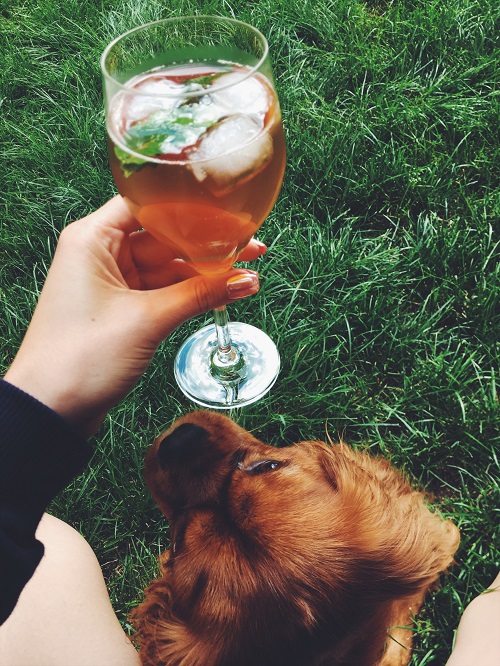 Kombucha čaj