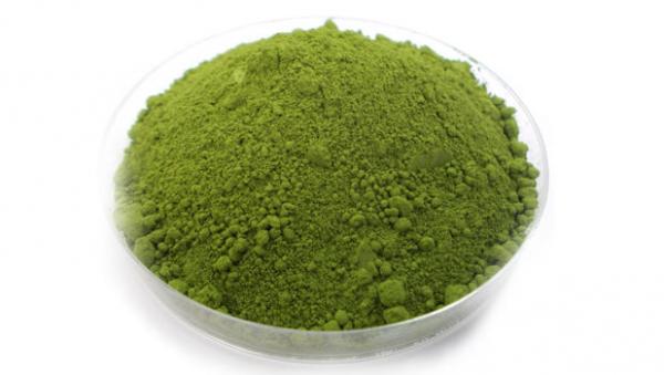 Chlorella - kraljica med algami