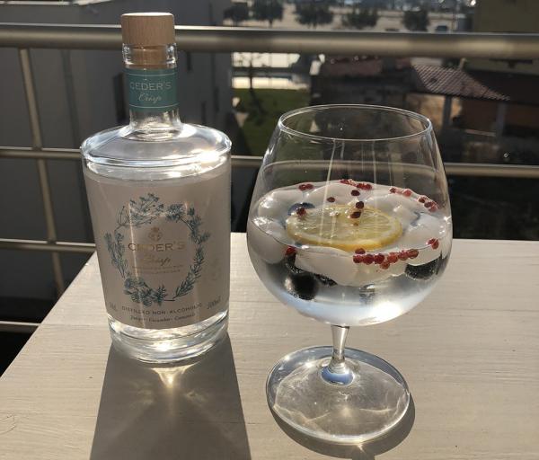 Brezalkoholni Gin Tonic