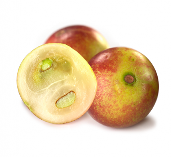 Jagode camu camu – kipeč vir vitamina C